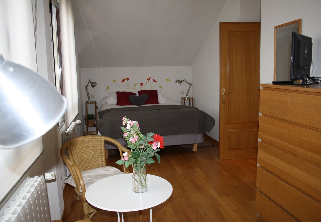 Apartamento en San Ildefonso - AP ALFONSO XIII - 9