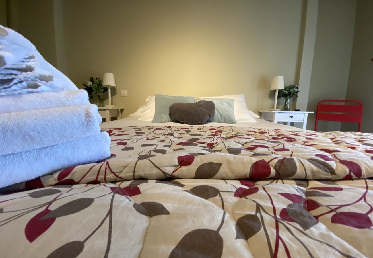 Apartamento en Segovia - AP REFITOLERIA - 2