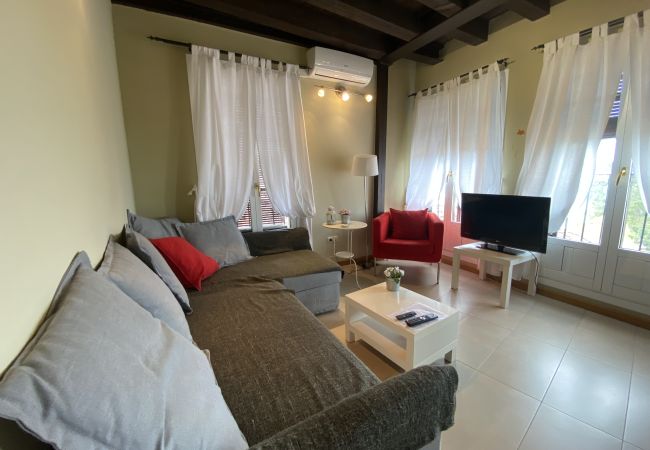 Apartamento en Segovia - AP REFITOLERIA - 3