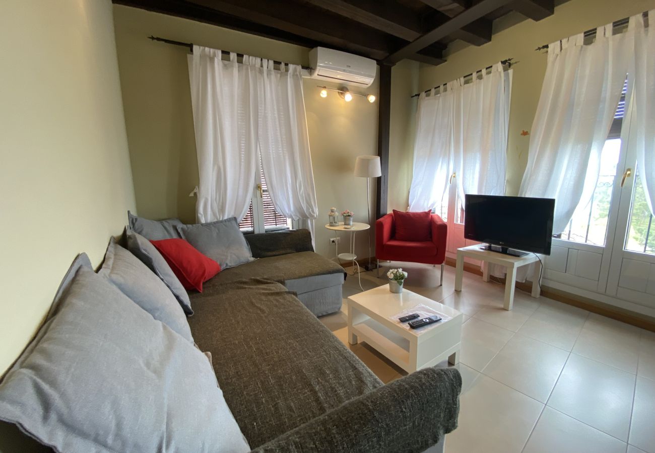 Apartamento en Segovia - AP REFITOLERIA - 3