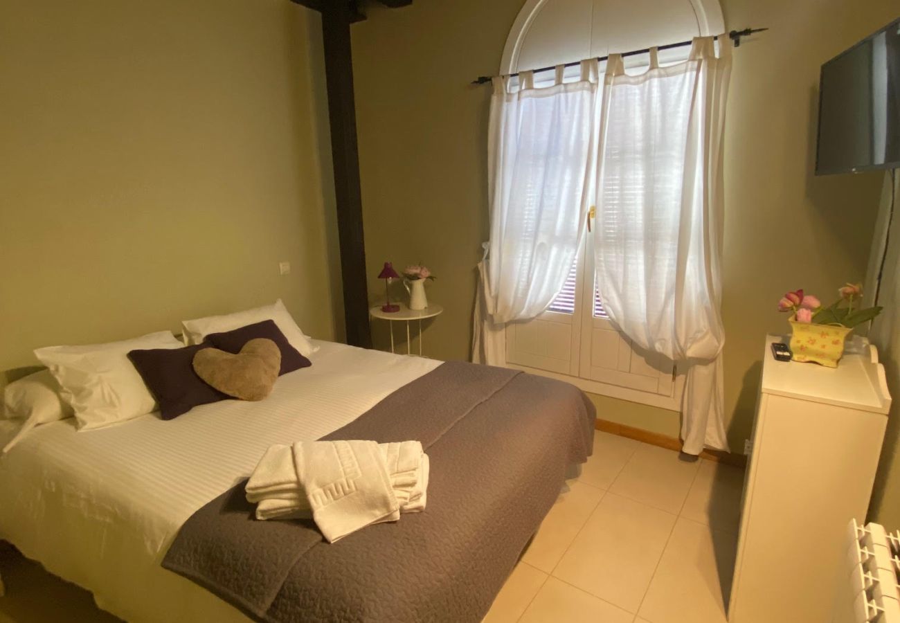 Apartamento en Segovia - AP REFITOLERIA - 5