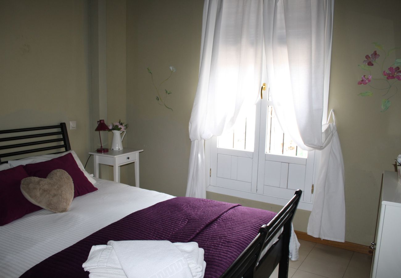 Apartamento en Segovia - AP REFITOLERIA - 7