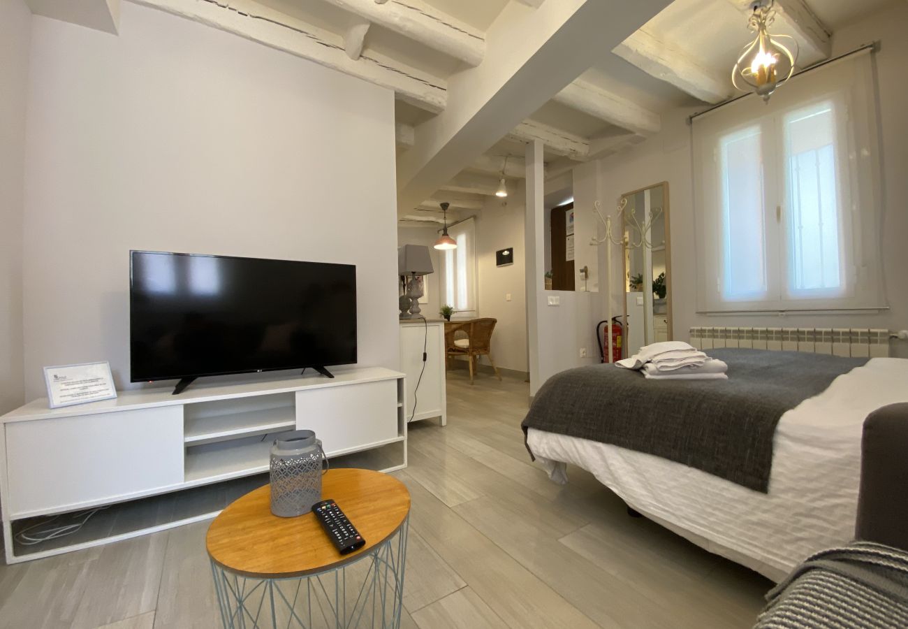 Estudio en San Ildefonso - AP CASA  ABUELO JUAN- 3