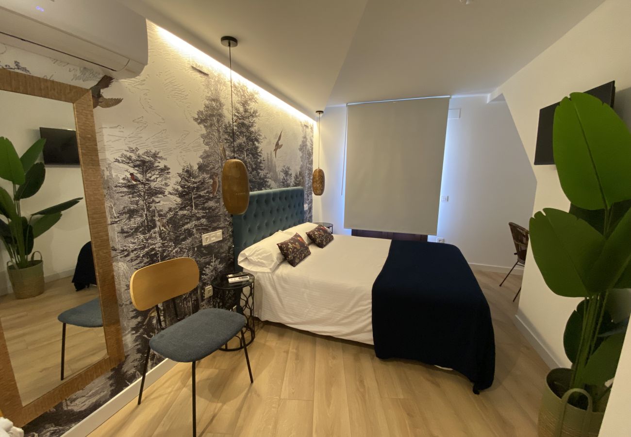 Apartamento en Segovia - APTO PEÑALARA -6